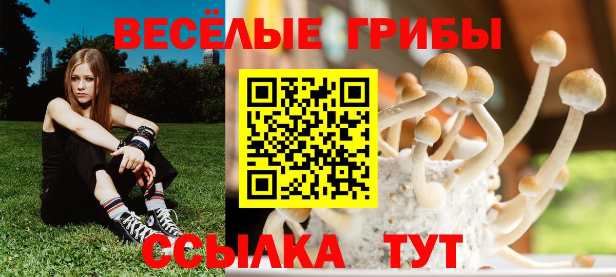 Псилоцибиновые грибы ЛСД Железноводск