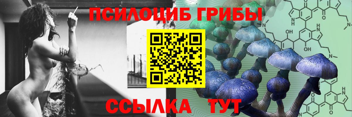 Псилоцибиновые грибы ЛСД  Галлюциногенные грибы прущие грибы  Железноводск  Вход с VPN 